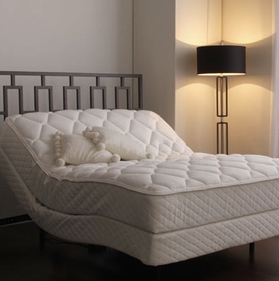 Adjustable Bed in your Chic bedroom